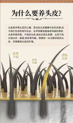 -希梵尔头皮抗衰·科技养发