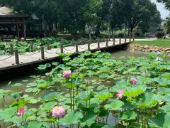 -苏州香山国际大酒店