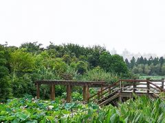 -艾溪湖湿地公园