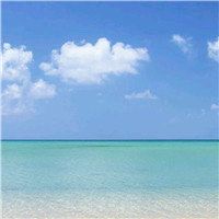 -薇兰专业脱毛连锁机构