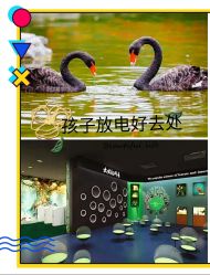 -七巧国萌宠乐园(龙湖天街店)