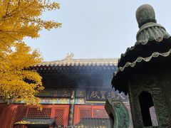 -红螺寺