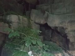 -金隅凤山酒店