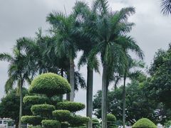 -石炮台公园