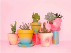 -阿坤纯正西刀鱼丸(Kuala Lumpur Branch)