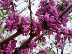 -天台山赤城山景区