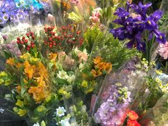 -循礼门鲜花花市(武汉循礼门店)