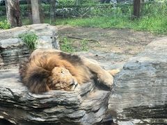 -秦皇岛野生动物园