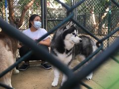 -TrueLove @ Neverland (Husky Cafe)