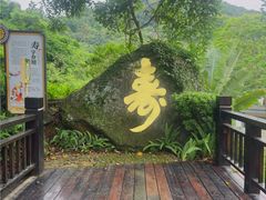 -天鹿湖森林公园