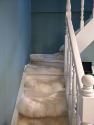 -YOUNGSKIN氧研皮肤管理中心