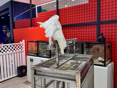 -深圳龙华星河COCO City(民治店)