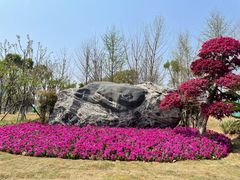 -后襄河公园