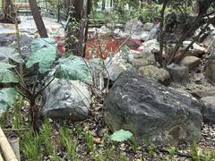 -湖泉半山温泉