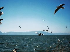 -捞渔河湿地公园