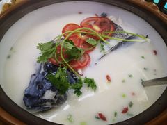 -全乐鱼馆·淳牌有机鱼直营店
