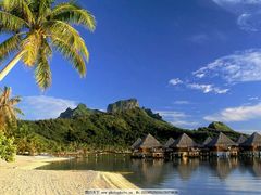 -金百万烤鸭店(马甸店)