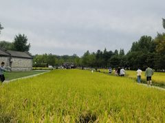 -北坞公园