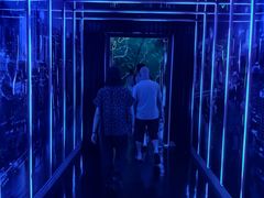 -重庆国际马戏城