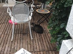 -鼎画艺术机构(贵都店)