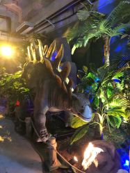 -恐龙探索乐园(磁器口店)