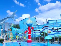 -海合安武汉极地海洋公园