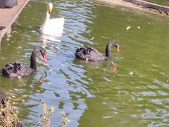 -海南热带野生动植物园