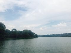 -河川生态园