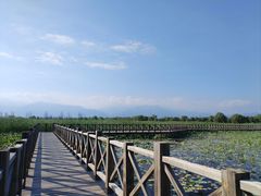 -野鸭湖国家湿地公园