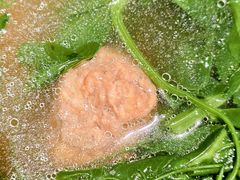 -蓉和妈妈菜·芙蓉花开(高新店)