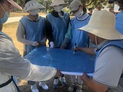 -山海一众流清河沙滩露营地·团建拓展·沙滩烧烤
