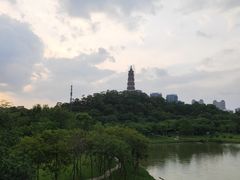 -顺峰山公园