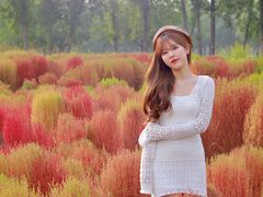 -汉长安城未央宫国家考古遗址公园