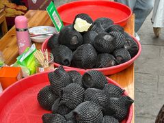 -海窝子古镇