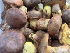 -草墩罗非鱼庄•野生菌•腊排骨(七星街上段店)