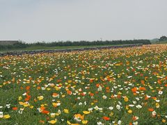 -江苏三台山国家森林公园