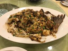 豉汁蒸鱼头鱼尾-喜运来酒楼(江南大道店)