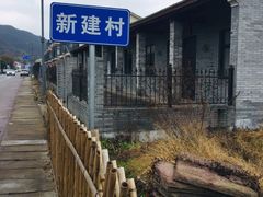 -新建村梅花