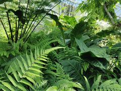 -国家植物园南园