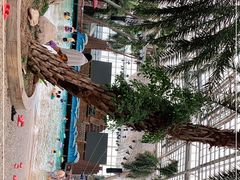 -龙达温泉生态城