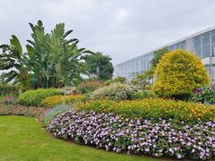 -光明小镇欢乐田园