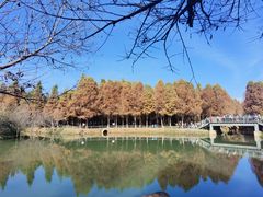 -捞渔河湿地公园