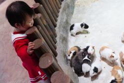 -宝燕乐园(闵行旗舰店)