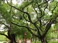 -广州中山纪念堂