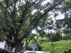 -晓港公园