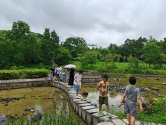 -聚龙山公园
