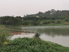 -广东花都湖国家湿地公园