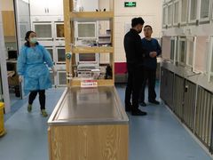 -瑞派·关忠动物医院·异宠专科·犬猫肿瘤·皮肤专科(望京店)