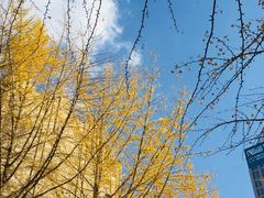 -辽宁大学(崇山校区)