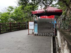 -羚羊峡古栈道森林公园